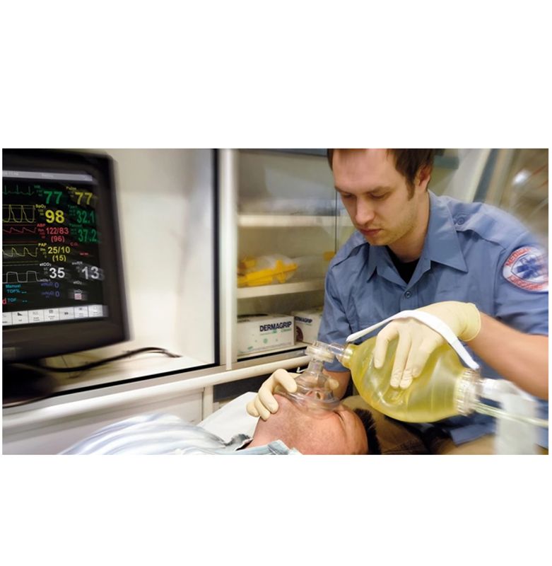 The BAG™ Resuscitator Pediatric w/mask #2