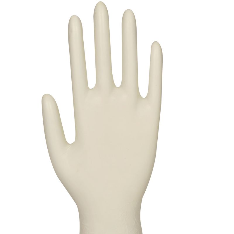 Latekshanske Abena Small