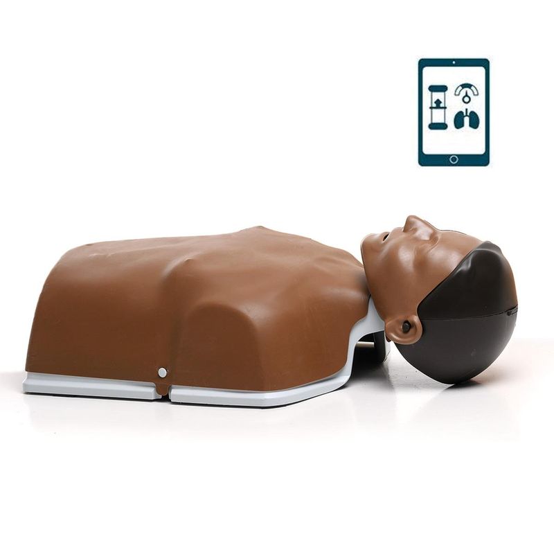 Little Anne Mørk 6-pakk